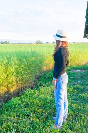 Téléchargez les photos : Thai Female with Rice Field Background, Phayao Province. - en image libre de droit