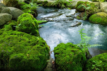 Photo for Mossy rocks with streams, Chiang Mai province. - Royalty Free Image