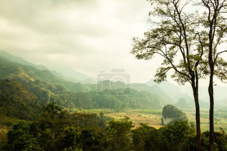 Téléchargez les photos : Belle vue sur le parc national Phu Langka, Thaïlande. - en image libre de droit