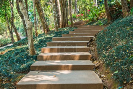 Concrete steps in garden, Thailand.