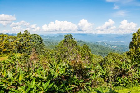 Photo for Mountain view of Huai Nam Dang national park, Thailand. - Royalty Free Image