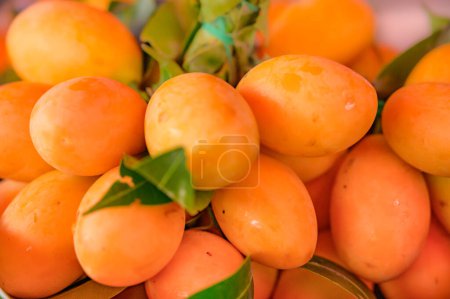 Foto de Fresco Plum mango fruta en el stand en el mercado, Tailandia. - Imagen libre de derechos