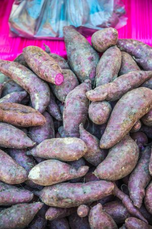 Photo for Fresh Sweet Potato, Thailand. - Royalty Free Image