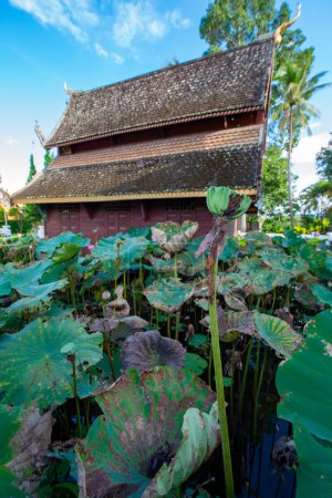 Photo for Lotus pods  with old church background in the Phuttha Eoen temple, Thailand. - Royalty Free Image