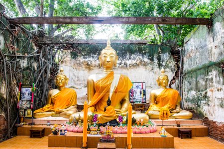 Estatua de Buda en la antigua iglesia tailandesa en el templo de Sang Kratai, Tailandia.