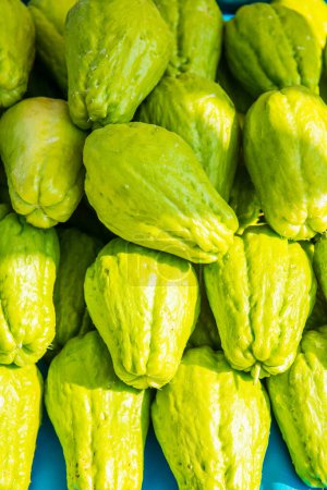 Photo for Background of Chayote fruits, Thailand. - Royalty Free Image