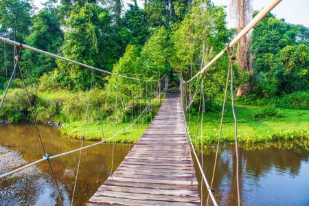 most linowy w national park, Tajlandia