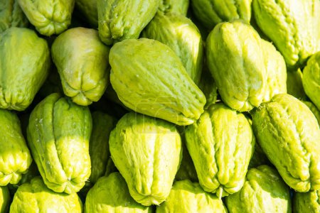 Photo for Background of Chayote fruits, Thailand. - Royalty Free Image