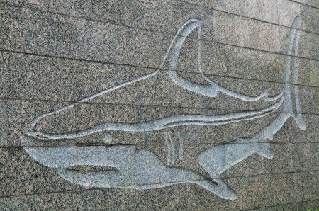 Photo for Whale carving on granite wall, Thailand - Royalty Free Image