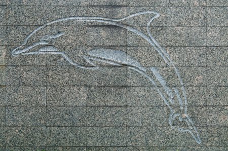 Photo for Dolphin carving on granite wall, Thailand. - Royalty Free Image