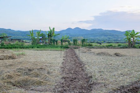Agricultural Area at Si Mongkol Temple, Nan Province.