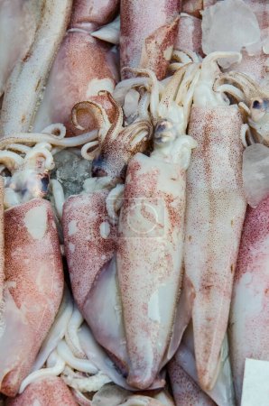 Frischer Tintenfisch auf dem Frischmarkt, Thailand