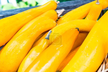 Photo for Yellow Zucchini on Table, Thailand - Royalty Free Image