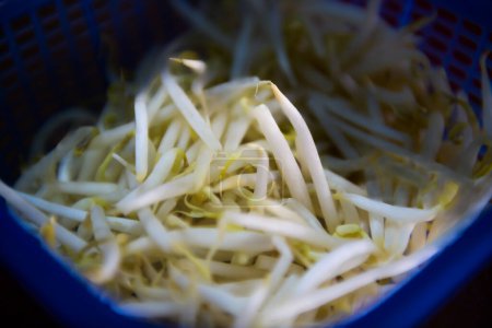 Raw bean sprouts in a blue basket, this fresh vegetable is commonly eaten with Thai food.