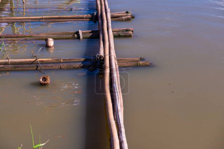 Soutien du pont en bambou dans le lac Kwan Phayao, province de Phayao.