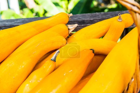 Yellow Zucchini on Table, Thailand