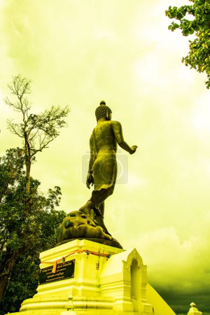 Hermoso Buda de pie en Phra que Phu Khao templo, Tailandia.