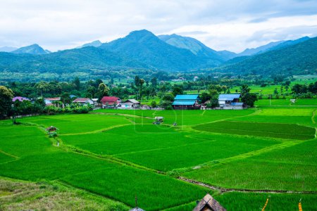 Beautiful rice field at Wat Phuket view point, Thailand.