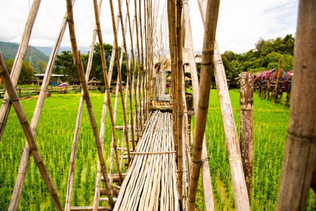 Campo de arroz con pequeño puente en el distrito de Pua, Tailandia.