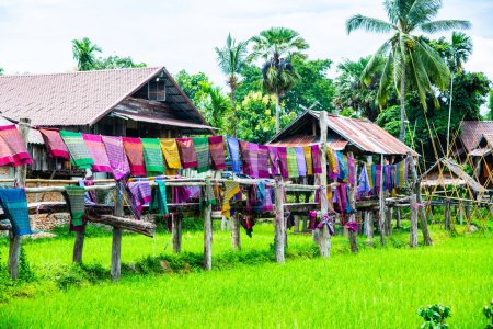 Casa nativa tailandesa con campo de arroz, Tailandia.