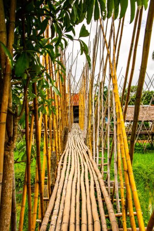 Pequeño puente con campo de arroz, Tailandia.