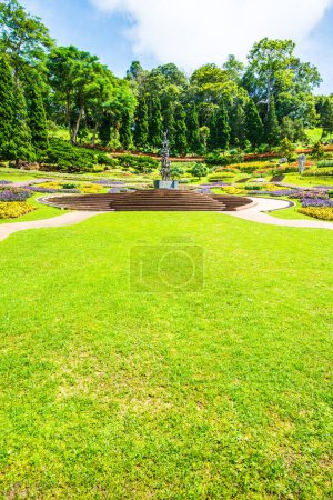 Landscape of Mae Fah Luang Garden, Thailand.