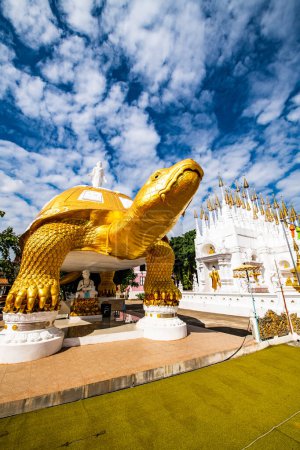 Die große Schildkrötenstatue im Pong Sunan Tempel, Thailand.