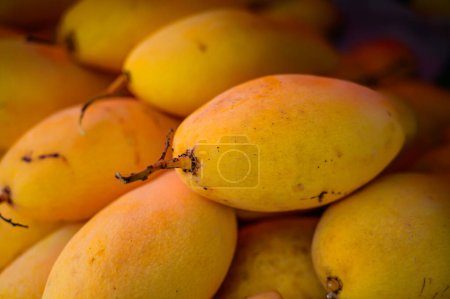 Mangos amarillos en un puesto de frutas en la provincia de Nakhon Sawan, Tailandia.