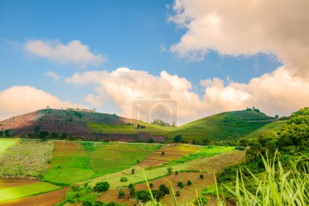 Beautiful natural views of the agricultural mountain ranges in Chiang Mai Province, Thailand.
