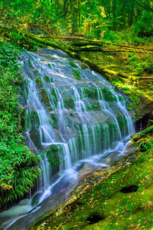 Photo for Lan Sadet Waterfall at Kew Mae Pan Nature Trail, Chiang Mai Province, Thailand - Royalty Free Image
