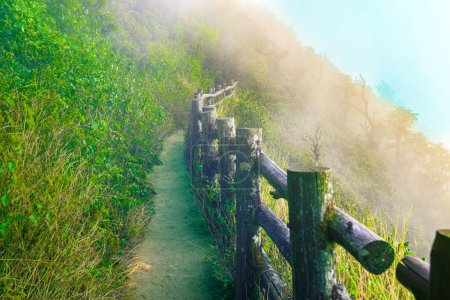 Bergwanderweg mit Nebelmeer am Kew Mae Pan Naturlehrpfad im Doi Inthanon Nationalpark, Provinz Chiang Mai.