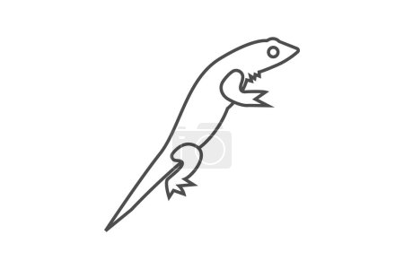 Téléchargez les illustrations : Lizard icône vectorielle de ligne mince, icône de contour, icône parfaite pixel - en licence libre de droit