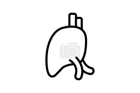 Illustration for Liver black outline icon , vector, pixel perfect, illustrator file - Royalty Free Image