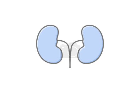 Illustration for Kidney awesome lineal color icon , vector, pixel perfect, illustrator file - Royalty Free Image