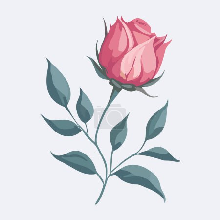 Photo for Pink rose with green leaves on a white background. Vector illustration. - Royalty Free Image
