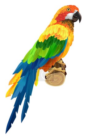 Illustration pour Beau perroquet coloré sur brindille. Oiseau, faune, faune. Concept des tropiques. Peut être utilisé pour les cartes de vœux, affiches, dépliants et brochures - image libre de droit