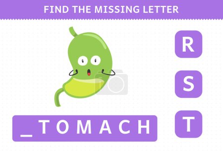 Ilustración de Education game for children find missing letter cute cartoon human organ stomach worksheet - Imagen libre de derechos