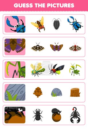 Ilustración de Education game for children guess the correct pictures of cute cartoon beetle moth mantis stone printable bug worksheet - Imagen libre de derechos