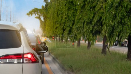 Photo for Rear side of white car on the road with turn on brake light. Cars parked in a row, stopped at a traffic light. On the sides. there are grass islands with tall trees in the middle. - Royalty Free Image