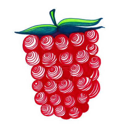 Photo for Raspberry berry poured on a white background. Doodle. Red with green leaves. Decorative drawing of circles and lines in them. - Royalty Free Image