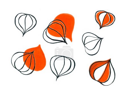 Photo for Set of physalis isolated on white background. It is drawn with a black outline. Sometimes orange filling. Or a partial overlay of a fill with a contour. Or filling in some fragments. - Royalty Free Image