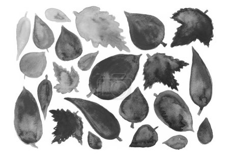 Photo for A set of leaves of different shapes and sizes on a white background. Black and gray leaves. Gradient. Different shades, ink blur. Leaves from different types of trees. - Royalty Free Image