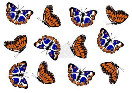 Photo for Set of different butterflies on a white background. Black outline, blue and orange fill. Stylization. Simplified realistic drawing. An unfolded butterfly from above and in profile. Printmaking style. - Royalty Free Image