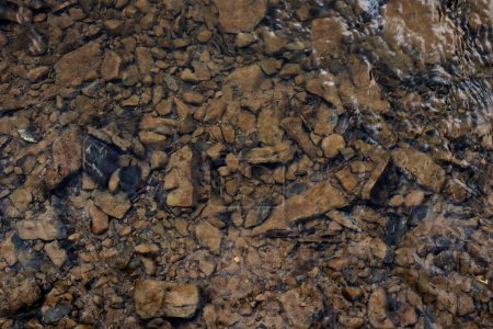 Photo for Macro photo of rocky bottom under water. Various shades of brown, gray, black color. Stones of different sizes. They have black cracks and crevices. Chaotic placement. Light reflections of water. blur - Royalty Free Image