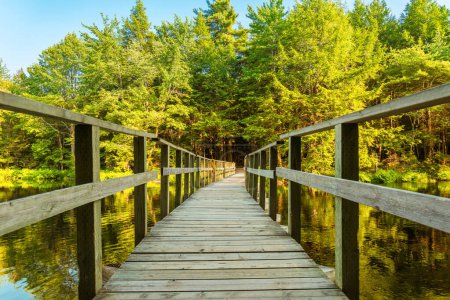 Photo for Wooden bridge (Kejimkujik National Park , Nova Scotia, Canada) - Royalty Free Image
