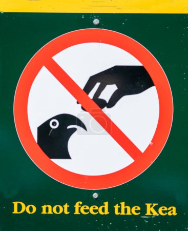 Foto de Signo rectangular grande con fondo verde brillante y negrita, amarillo, texto que dice: No alimente al Kea. Hay una ilustración de pájaro Kea, que es un tipo de loro nativo de Nueva Zelanda. - Imagen libre de derechos