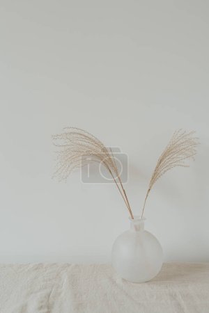 Téléchargez les photos : Bouquet de tiges d'herbe de pampa séchées dans un vase en verre. Composition florale élégante minimaliste - en image libre de droit