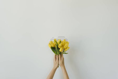 Foto de Manos femeninas sosteniendo ramo de flores de tulipán amarillo sobre fondo blanco. Estética celebración festiva de San Valentín, concepto floral mínimo - Imagen libre de derechos