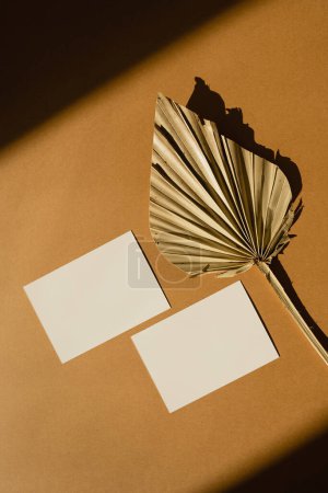 Téléchargez les photos : Carte de feuille de papier avec espace de copie maquette vierge et feuille de ventilateur séchée sur fond bronzé chaud avec silhouette ombragée en lumière douce du soleil - en image libre de droit