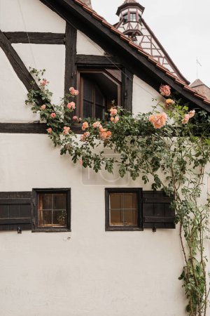 Photo for Old historic architecture in Nuremberg, Germany. Traditional European old town buildings with flowers. Aesthetic summer travel concept - Royalty Free Image